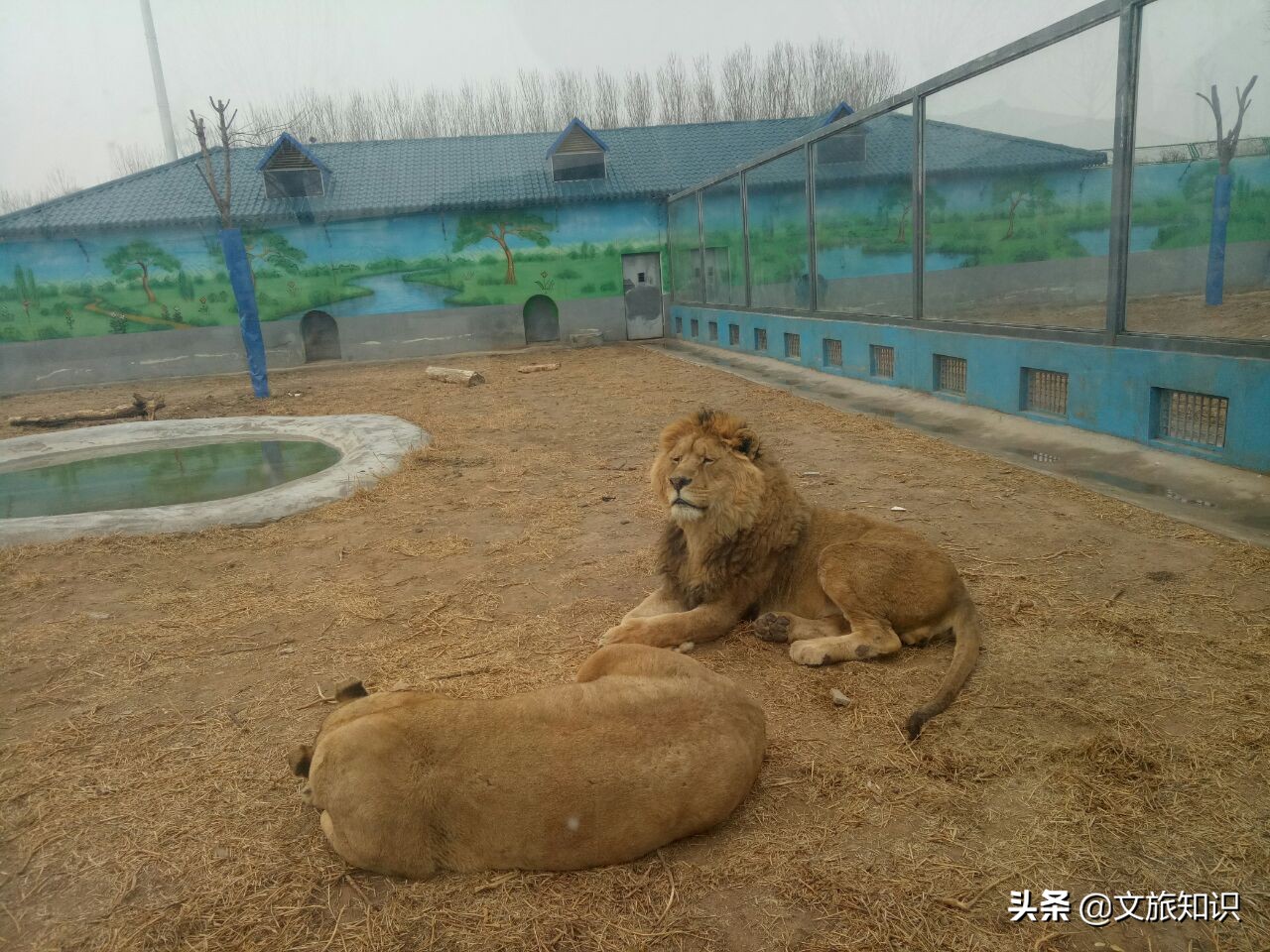 山东德州动植物园旅游区,德州市动植物园视频