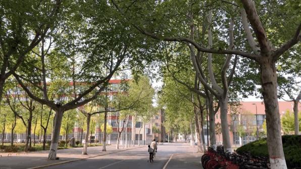 五个月未见面的聊城大学，现在你怎么样了？