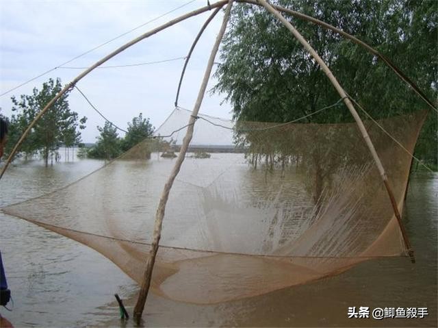 禁渔令禁用渔具,禁渔令渔具使用规定