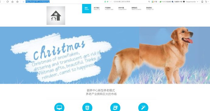 加盟高端网站建设,一站式网站搭建招商加盟