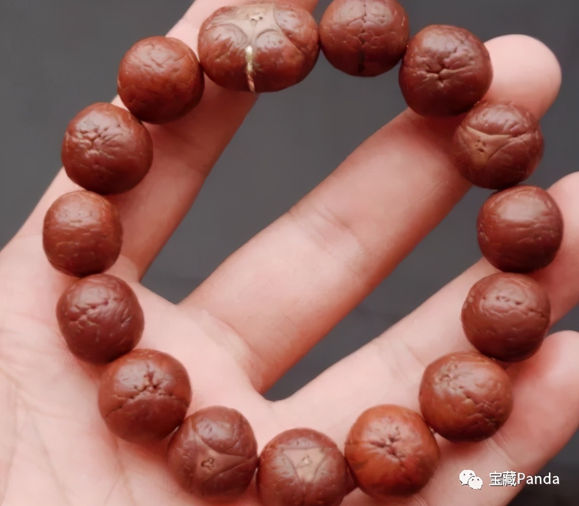 龙眼眼菩提,龙眼菩提和凤眼菩提有什么区别