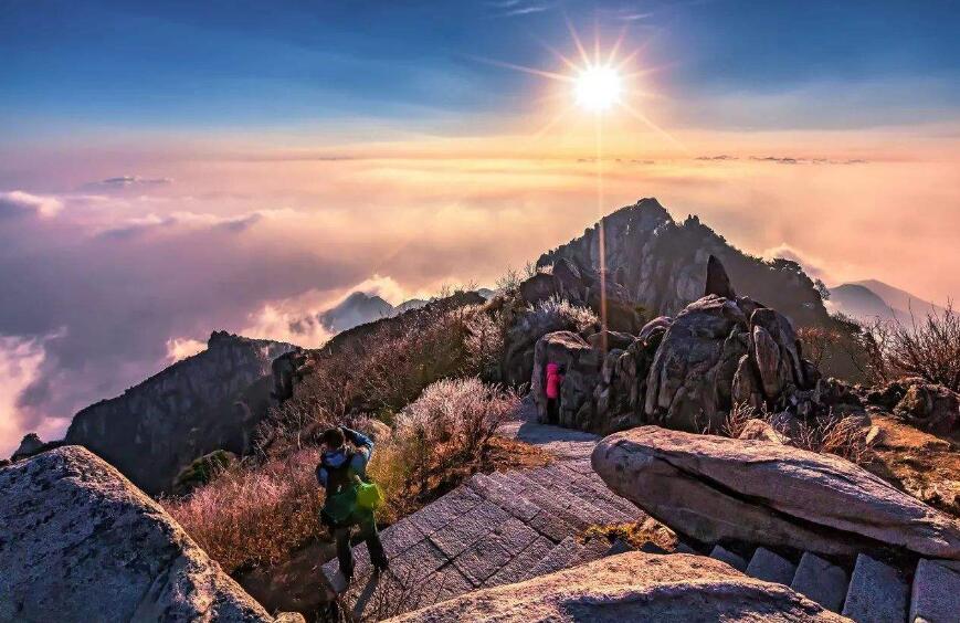 中国的泰山在哪里,我国的泰山是什么