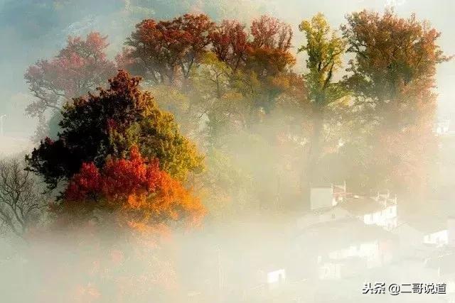 婺源篁岭油菜花摄影,婺源的秋天简直把摄影师逼疯