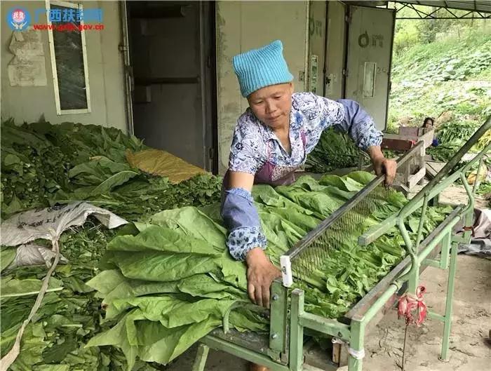 广西财政奖补政策,广西4地市获补助1亿元