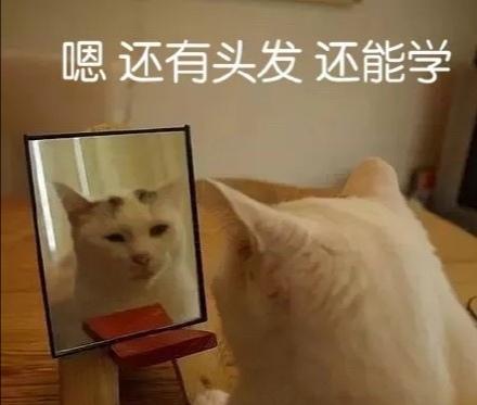 自学网站推荐免费学习,oeasy免费自学网站