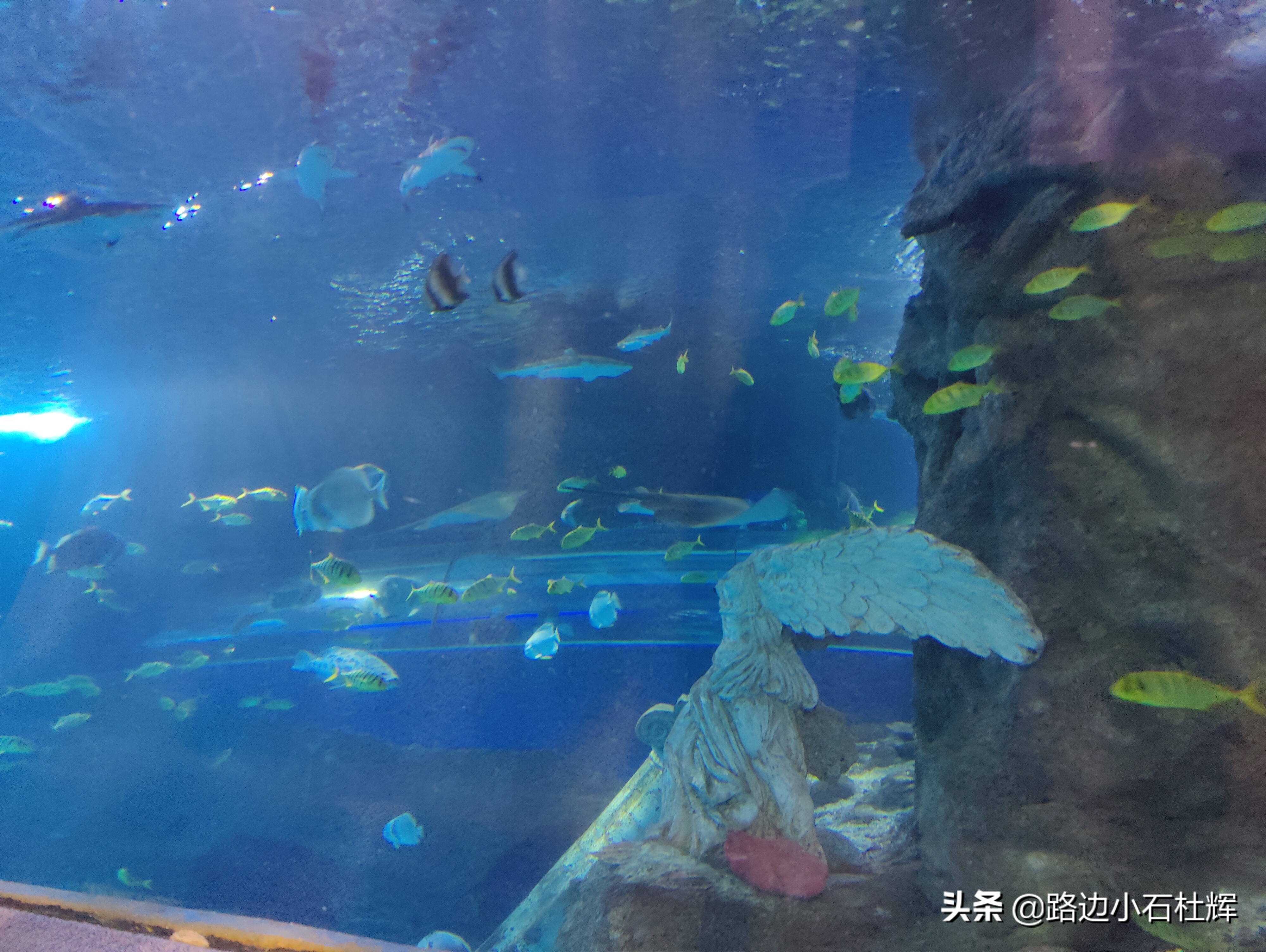 北京海洋馆海底世界游玩攻略,海洋馆北京海底世界游玩路线