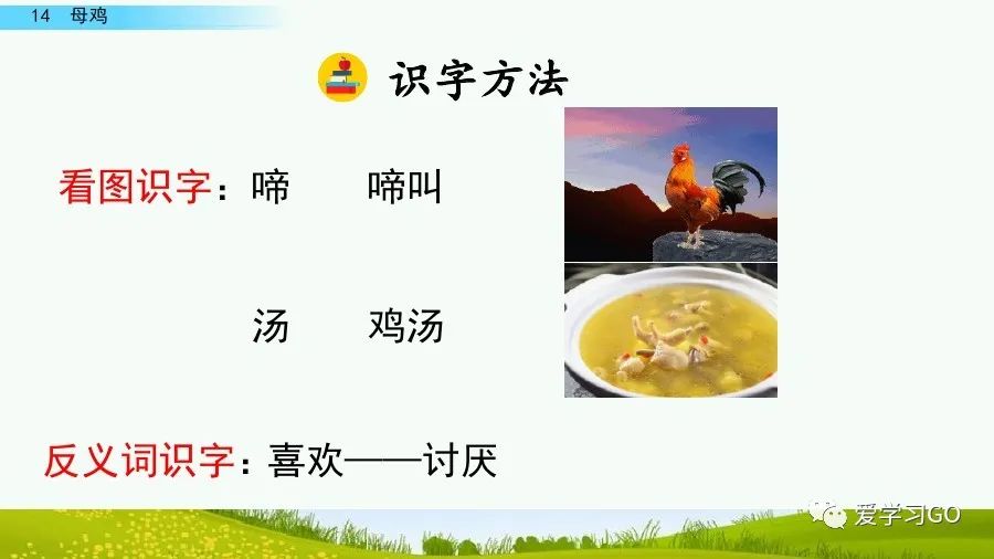 部编版四年级下册15课白鹅解析,部编版四下语文第13课母鸡预习