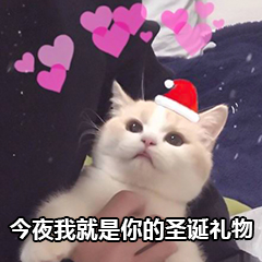 不用扫描仪就能提取图片,快速提取图片文字的工具