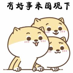 各部门面试资格审查名单在哪看,国考进面后去哪里查面试资格审查