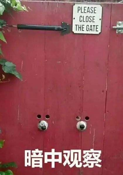 聚划算的便宜到底香不香