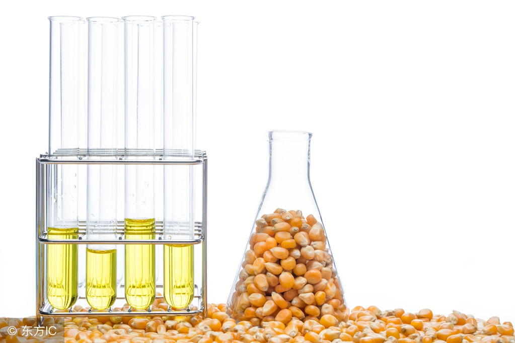 每天坚持的收获和感悟,每天坚持的99个理由