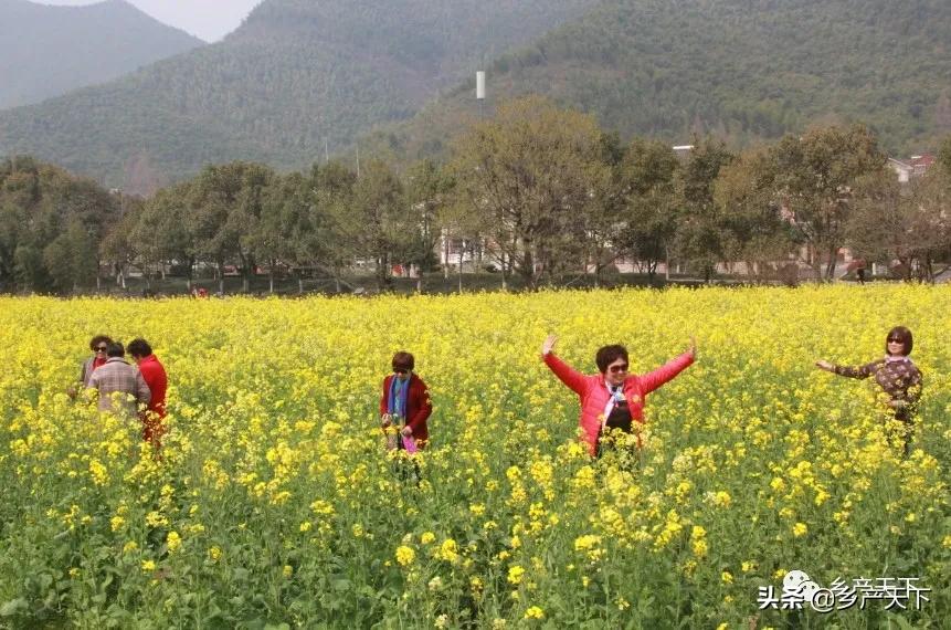 安吉旅游区,安吉深度游