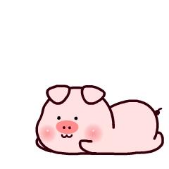 猪年红包贺卡制作,新年快乐贺卡猪猪