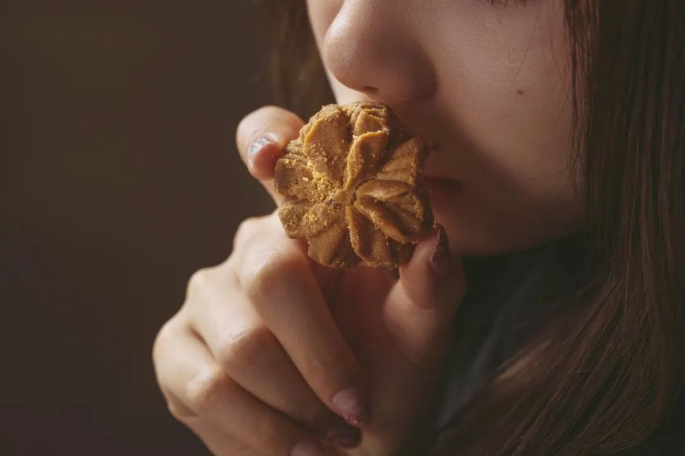 网红小熊曲奇,网红小熊曲奇最新视频