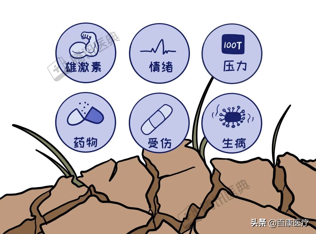 40岁男脱发恢复的真实经历,40岁脱发严重秃头怎么回事