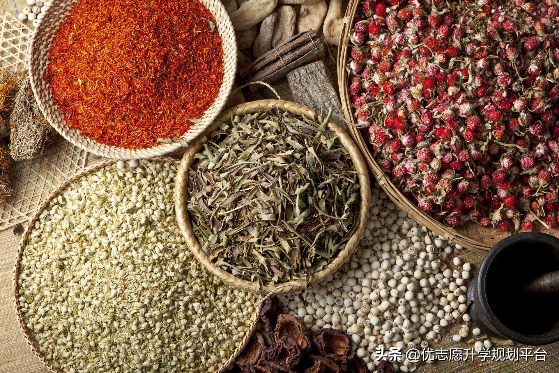 疫情后中药学专业的前景,中医中药在抗疫中的贡献