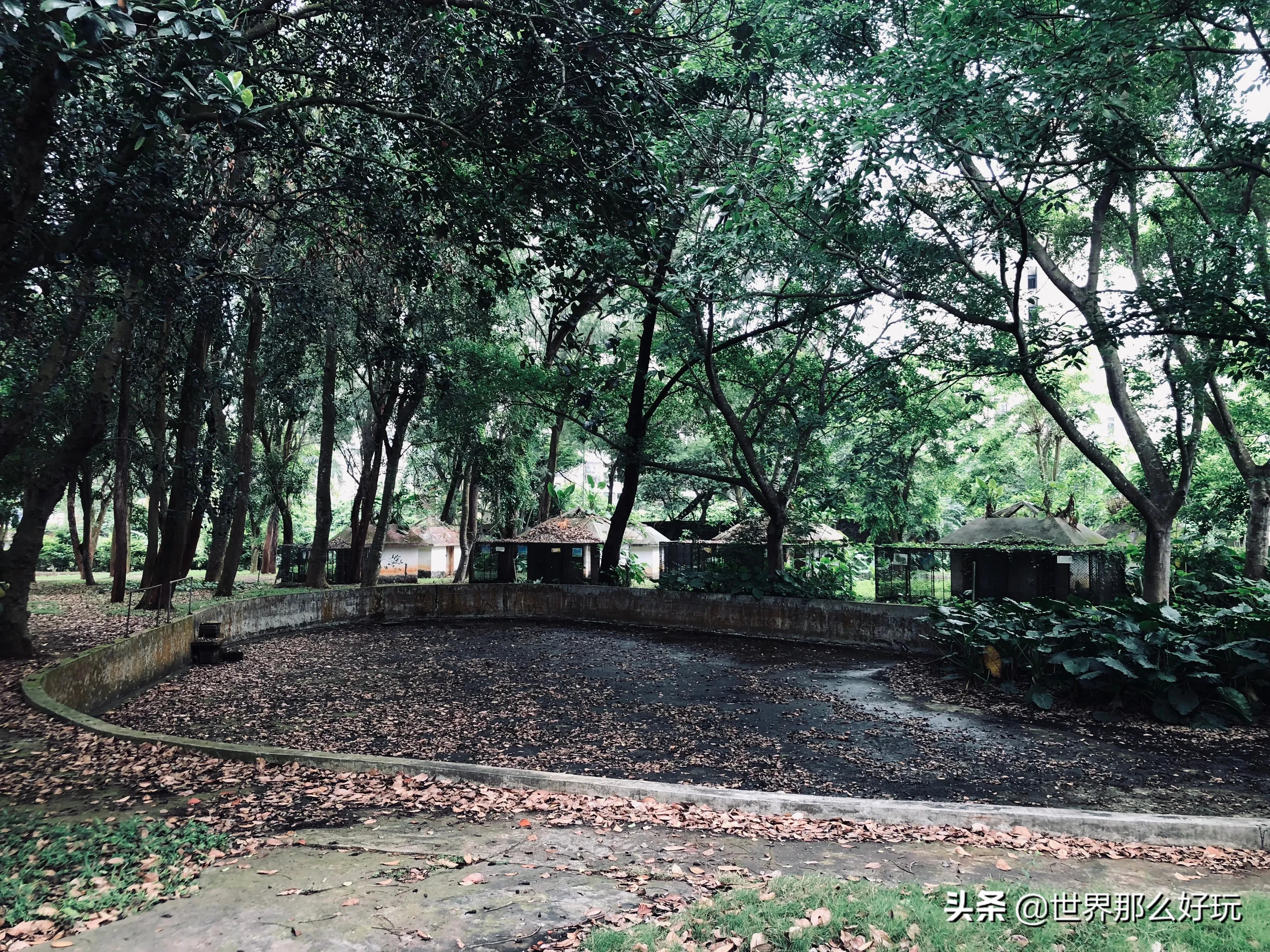 海南金牛岭动物园视频,海口金牛岭公园现在还有动物园吗