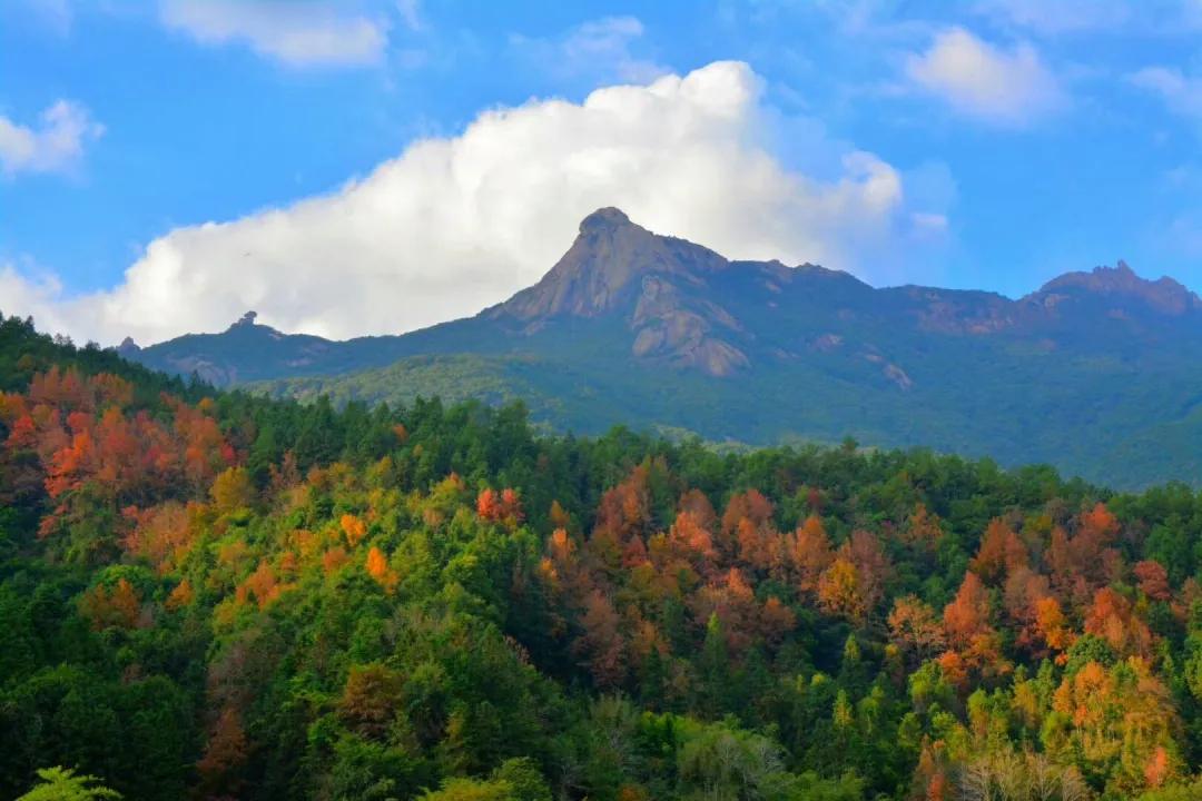 云髻山秋天图片,云髻山有雾凇吗