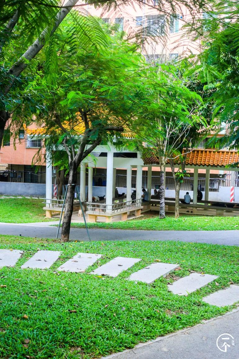 深圳“厂妹”村：租客月入4000，房租500