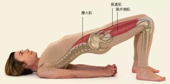 久坐颈肩腰疼怎么缓解,长期久坐脖子不舒服腰酸背痛