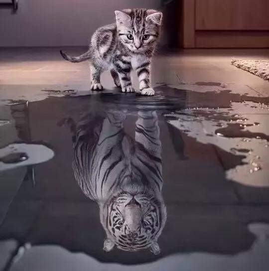 在基金公司工作的一天,基金公司实习