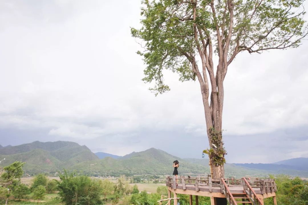 泰国清迈万人天灯节,泰国清迈万人天灯17年