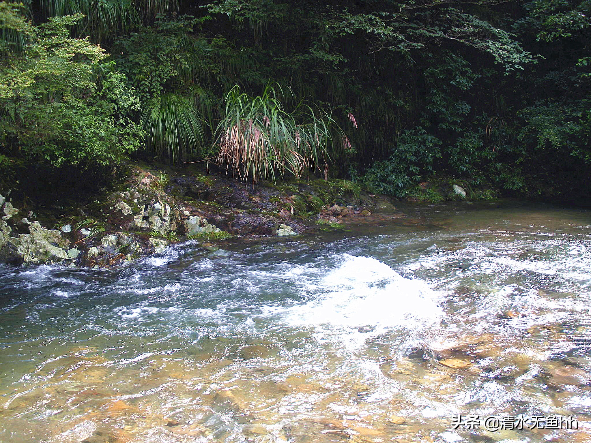 铜钹山九仙湖简介,铜钹山九仙湖几级景区