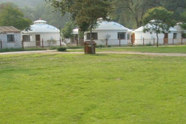 草坪除杂草最厉害是哪种,绿化草坪杂草治理