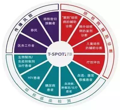 脊柱结核是怎么回事,健康科普不该被忽视的脊柱结核