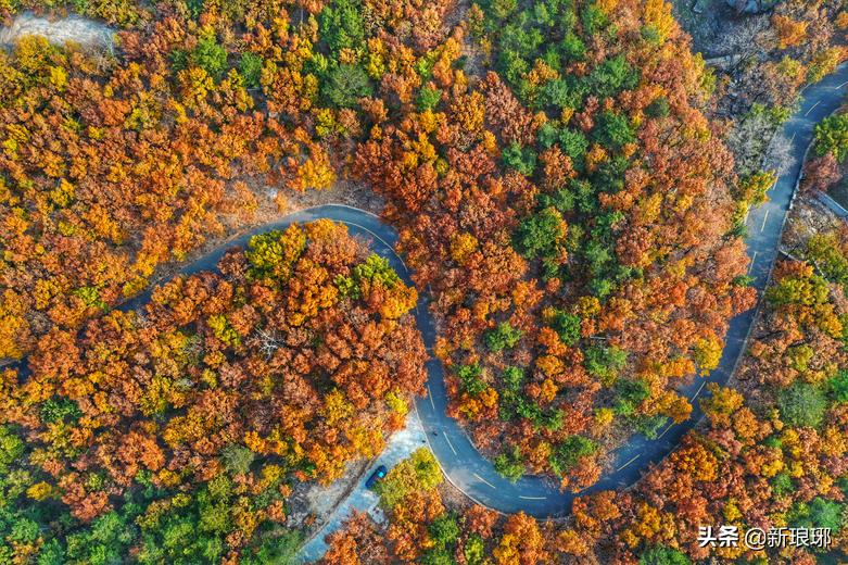 罗湖区最适合爬的山,绝美的风景在山顶