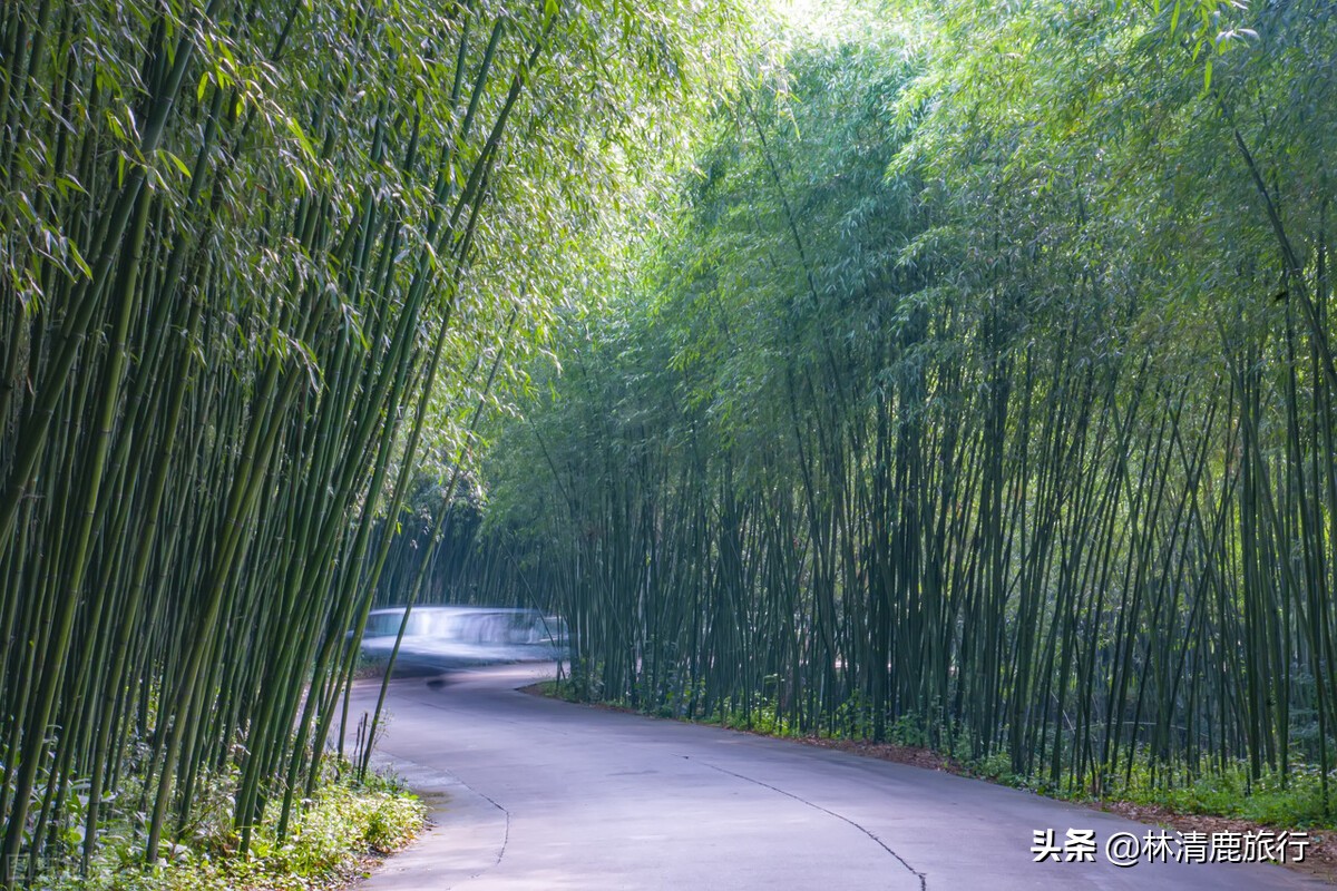 河南最适合住宿避暑的山区,河南避暑包吃包住农家
