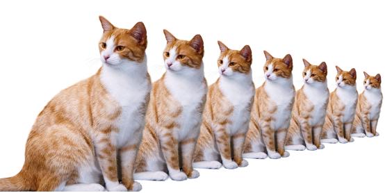 你不知道的ps文字小技巧,你不知道的cad技巧来了