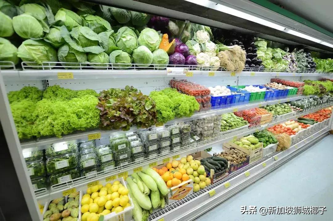 新加坡的生活知识,新加坡必备知识