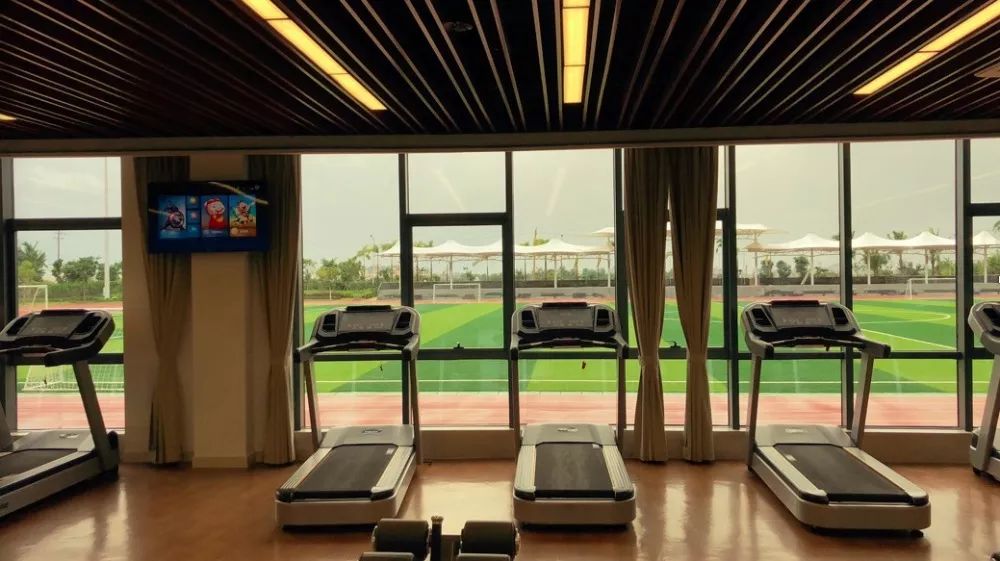 悦动体育夏令营户外拓展篇,2020游学冬令营