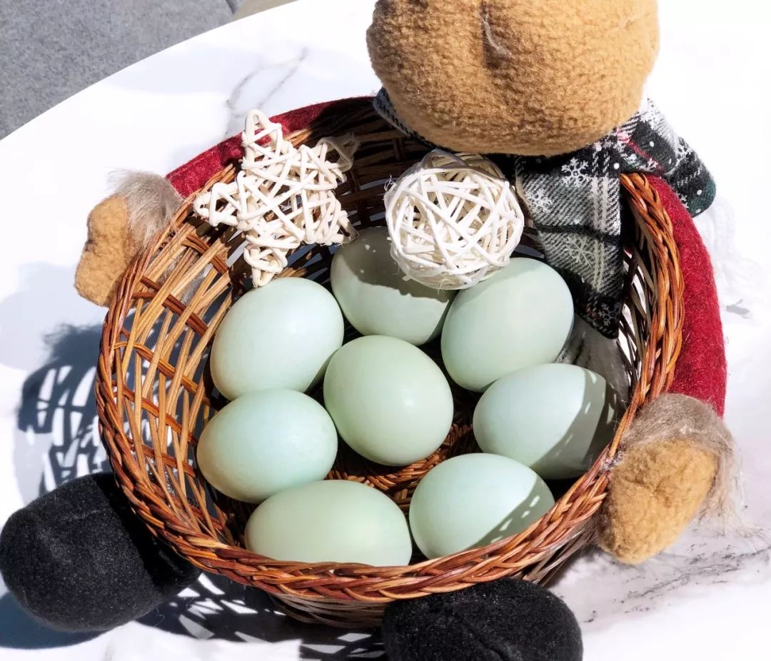 绿壳鸡蛋怎么吃最有营养,富硒绿壳鸡蛋的做法