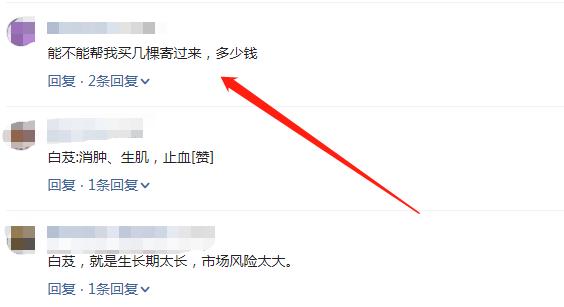 盆栽白芨的种植方法,白芨如何繁殖和种植