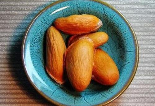 种榴莲怎么种用榴莲籽,榴莲籽怎么种全过程