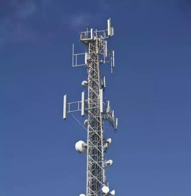 涨知识3-5分钟,涨知识一小时