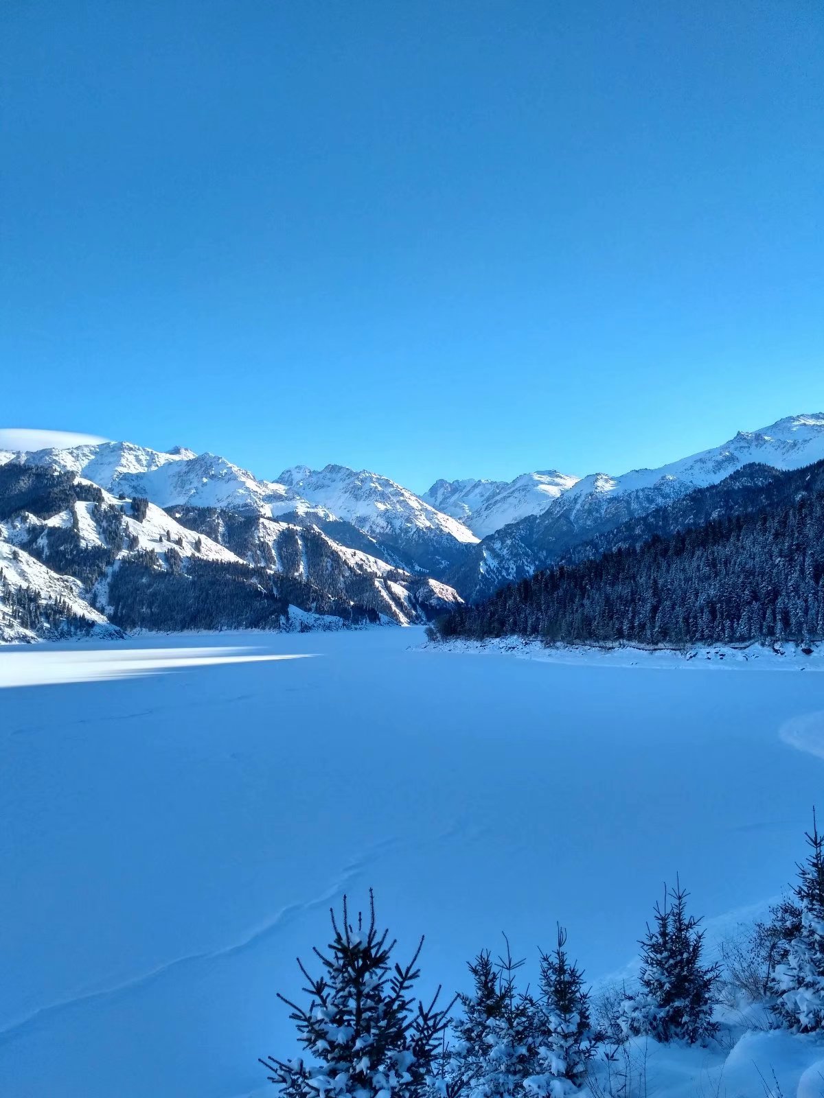 去长白山天池哪个景区最好,新疆天山天池和长白山天池