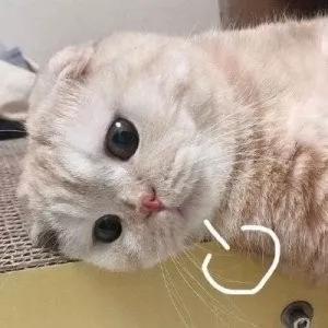 黄皮新手彩妆教程视频全集,适合黄皮的大牌彩妆推荐眼影