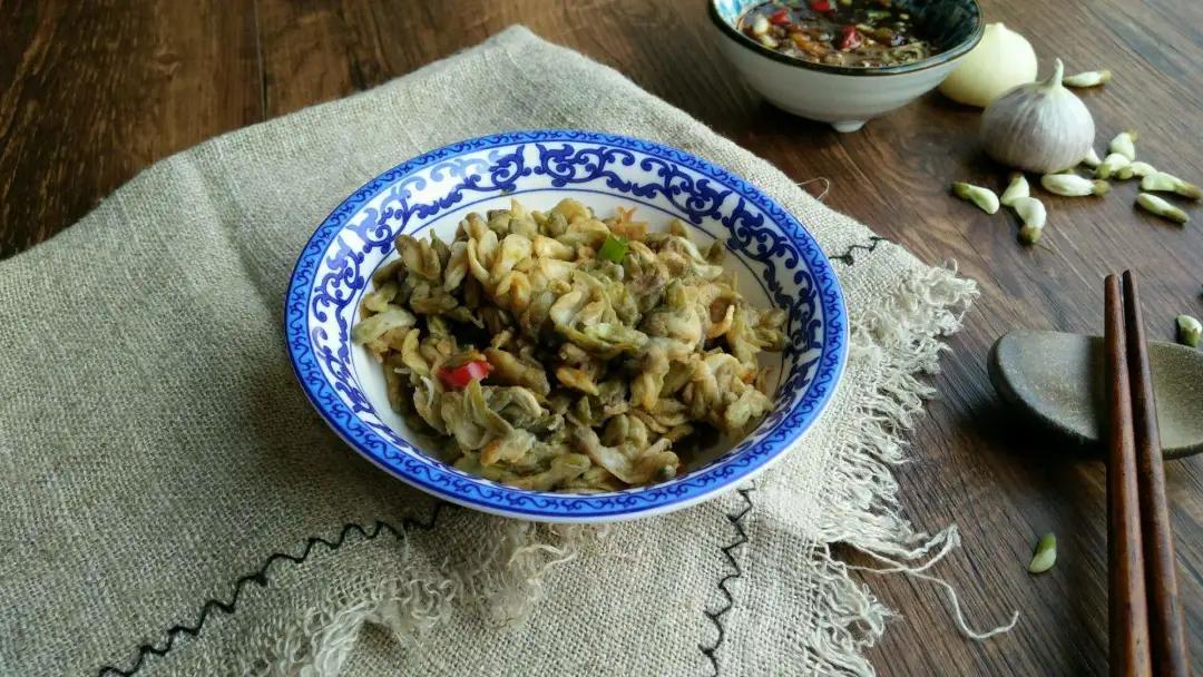 2022年野生菌什么时候大量上市 (山里的野菌样品及价格)