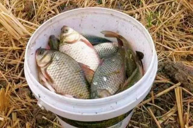 新手如何快速掌握调漂技巧,让你少走弯路,一步到位