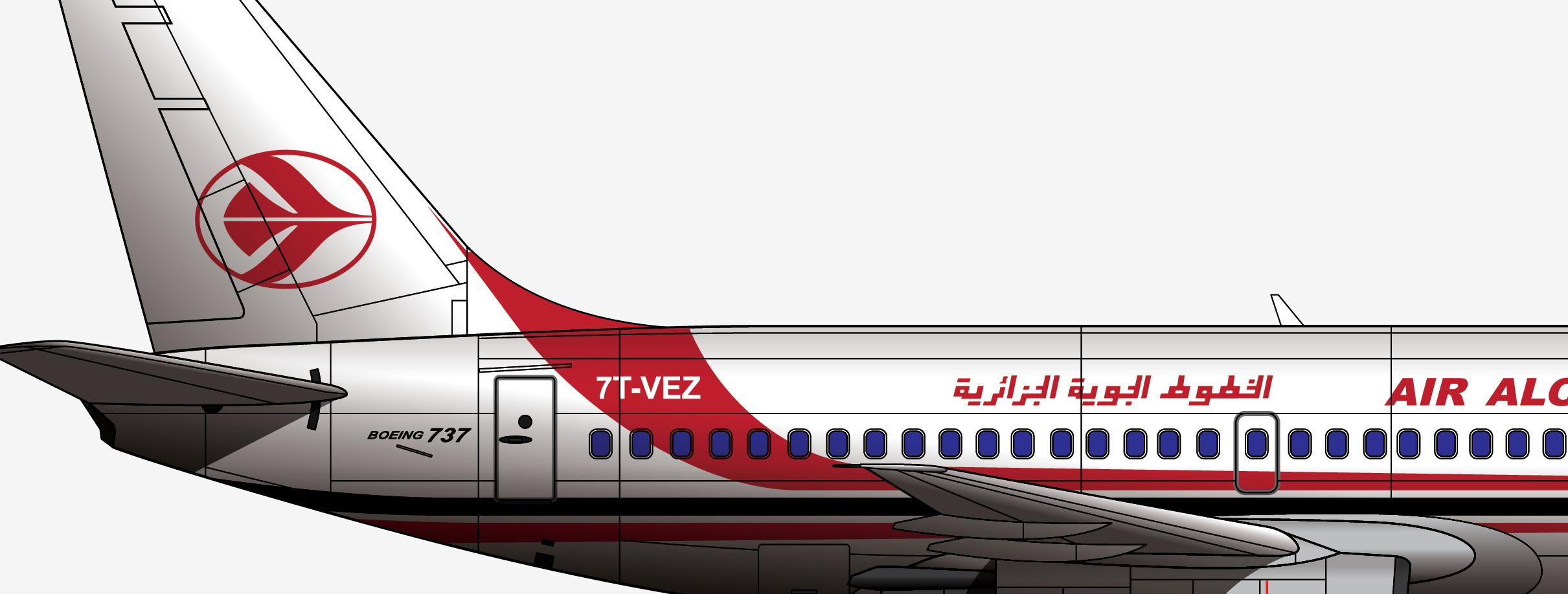 各自为阵，忆阿尔及利亚航空AH6289航班2003.3.6塔曼拉斯塞特空难