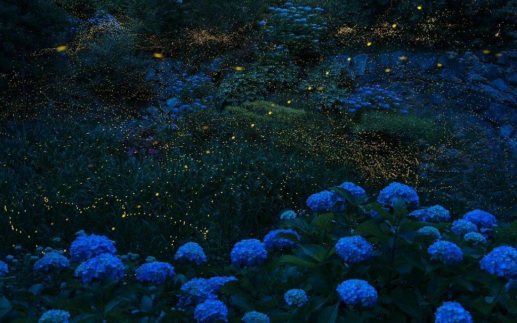 最流行的2024年短语,2020年最流行话语