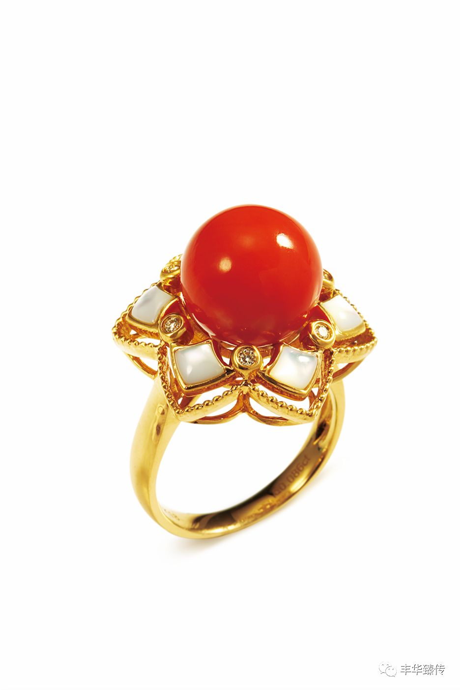 秋雨发梢，梦幻情怀，戴着你的水晶珠链，请跟我来！