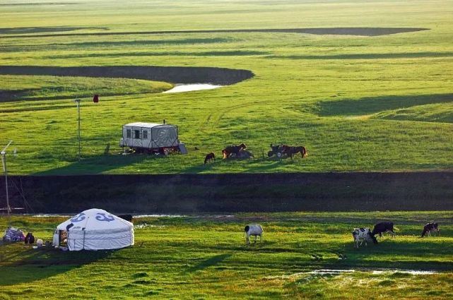 DNA和乳制品不兼容的蒙古人,怎么就成了克服乳糖不耐的关键?