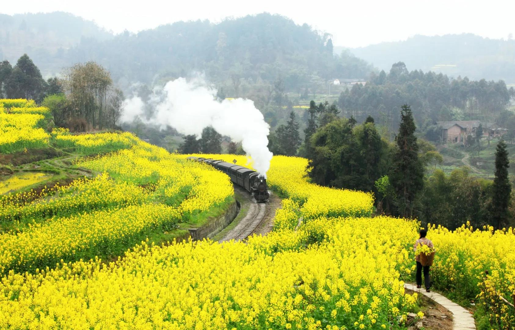 旅游蒸汽轨道观光小火车,中国最美的旅游观光小火车