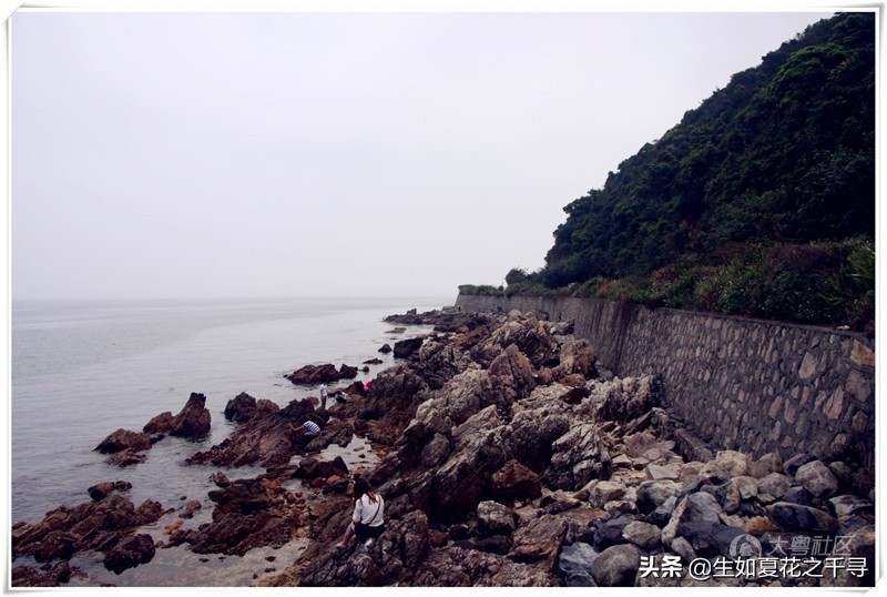 深圳市杨梅坑美人鱼拍摄基地,深圳大鹏杨梅坑美人鱼拍摄地点