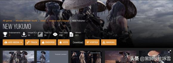 ps4怪物猎人世界冰原mod安装方法,怪物猎人冰原mod只支持pc版吗