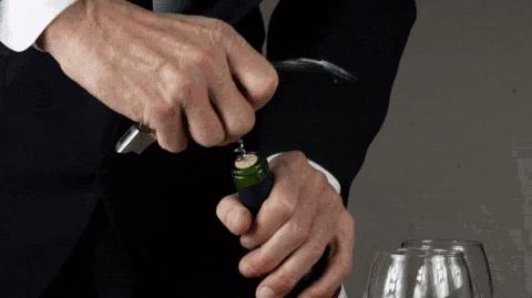 什么？美国专家为研究鸭子丁丁竟斥资250万？